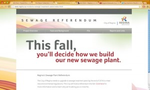 Screen capture of city's referendum website