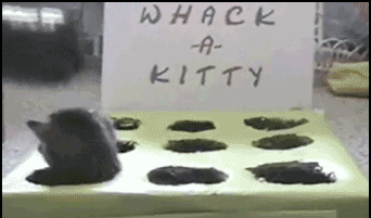 whack a kitten